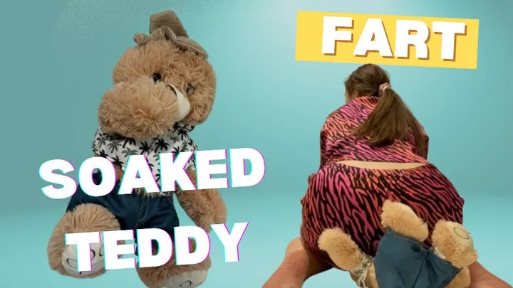 Yourfantasy6190 - Fart-Soaked Teddy