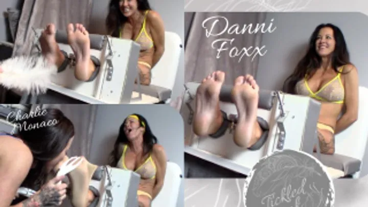 Tickled Ink - Dannii & Charlie: Stocks & Stocking Socks