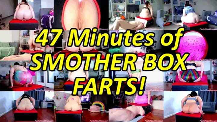Pastel Goddess - Ultimate Smotherbox Fart Compilation