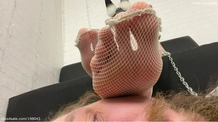 Yokai Goddess - Feet worship, gag and ignore in white fishnets