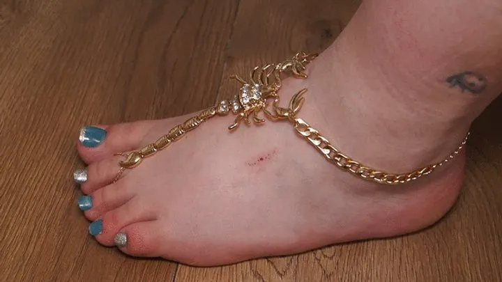 Anastasia Gree Clip Store - #15 Crawling - The Contest: In Search of a Worthy Slave