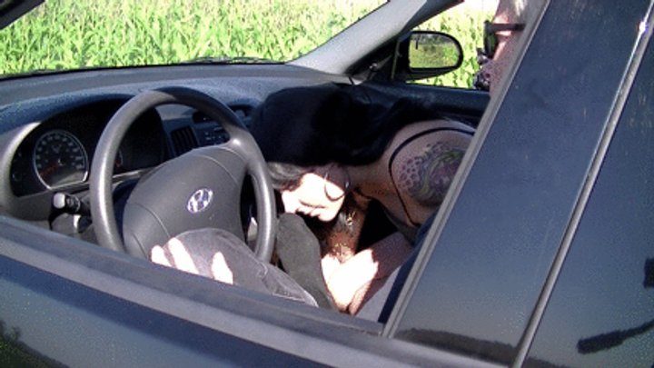 My Masters Feet - Cleo licks feet in the car