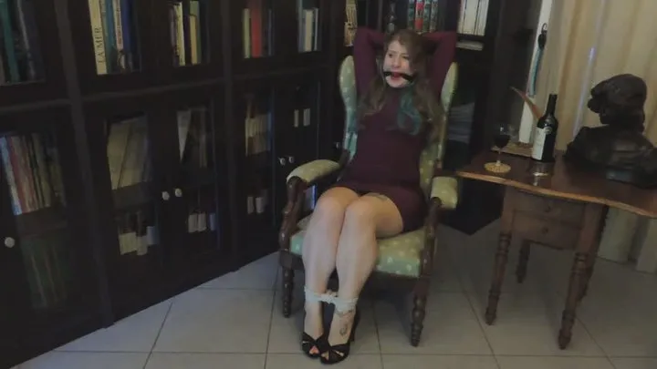 Salenakentbound - 0046 - Lady of the manor, bound in her own library