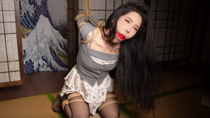 The Dream Of Bondage - Bitch with ballgag arms bondage hogtied struggling