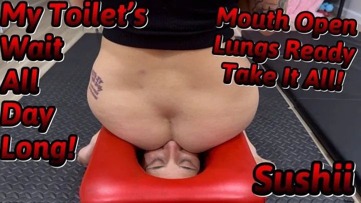 Fetish Nature Films - My Toilet's Wait All Day With There Mouth Wide Open!