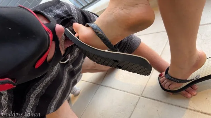 Mistress Lohan - Goddess Lohan - Someone's Grandpa Loves Licking My Dirty Feet and Sucking My Toes
