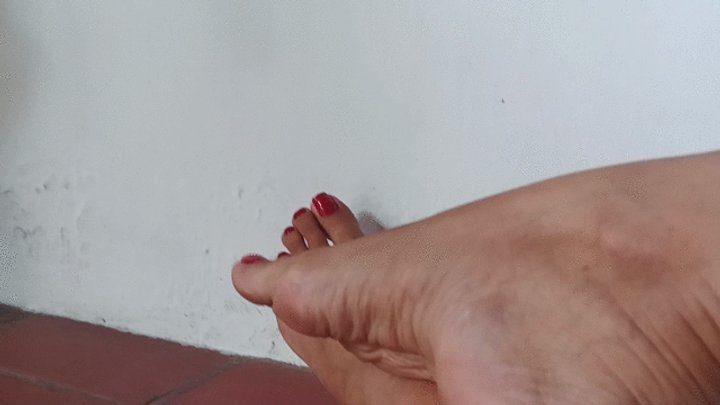 Goddess Foot Fetish - Beautiful roxan dazzles with pronounced bows (3)