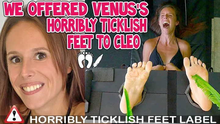Tickle Frenchtickling  Store - WE OFFERED VENUS'S HORRIBLY TICKLISH FEET TO CLEO - HD WMV