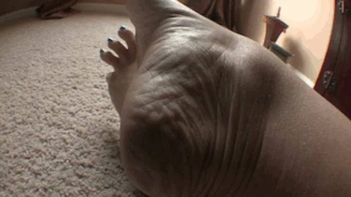 Hfw - Prove Your Worth As You Sniff - LaCreme