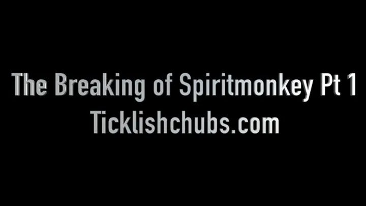 Ticklishchubs - The Tickling Breaking of Spiritmkey (In Full)