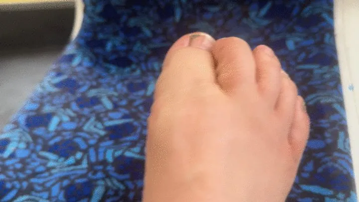 Kinky Kacy - See my sexy big feet on the transit seats (oct 2 2025)
