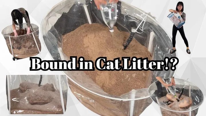 Hinako House Of Bondage - Bound in Cat Litter!?