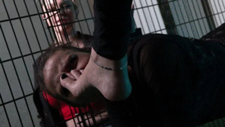 Hfw - Caught To Becomes Our Toy, 1st