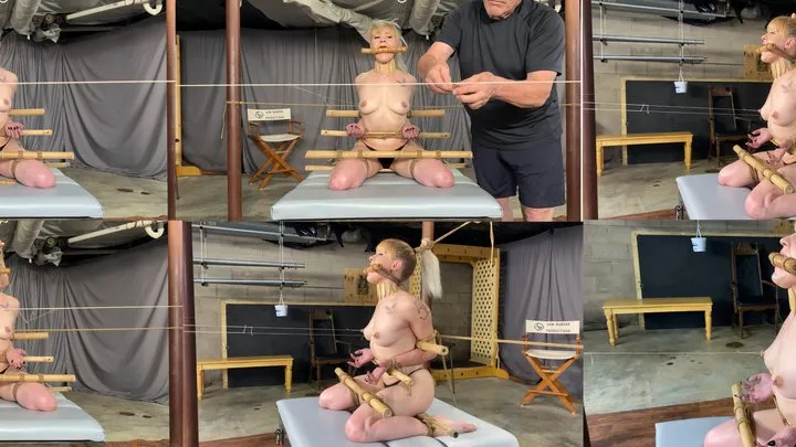 Lew Rubens Alpha Productions - Zonah Bamboo Art Predicament