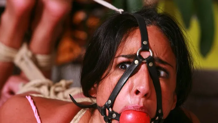 Dominic Wolfe's Gagged Beauties - Sofia Bertolini is a Heavily Bound Up, Toe-Tied, Harness Ball Gagged and Extremely Frustrated Victim of a: Jilted Co-Worker! RE ENCODE 2025