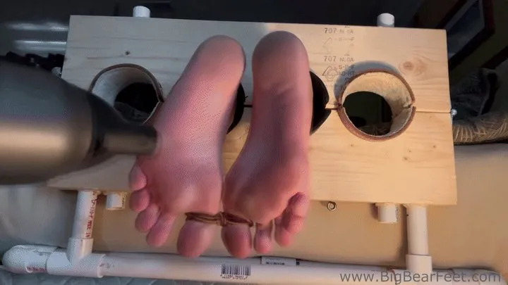 All Male Tickling Dungeon - Im1n2ft - Icy Hot 2025 - Ice and foot roasting size 13 wide feet