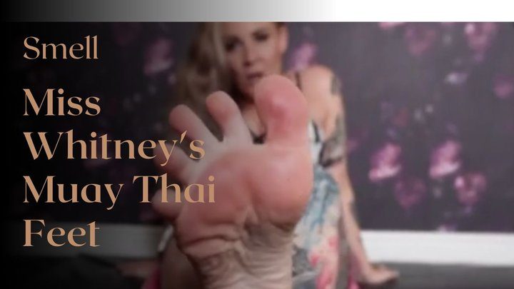 Koven Studios - Smell Miss Whitney's Muay Thai Feet (4k)