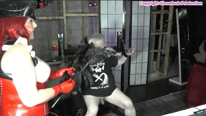 The Gloved Tickler - Glovedsub Tickled by Lady of Torments MP4 full HD (1080p) featuring Lady of Torments