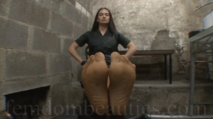 Femdombeauties - GODDESS ENDORA - THE DOCTOR'S FRAGRANT NYLON STOCKINGS 2