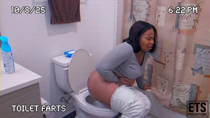 Ets Fart Productions - GASSY TOILET FART CHRONICLES