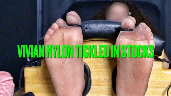 The Devils Footstool - Vivian Nylon Tickled in Stocks