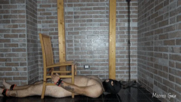 Mistress Gaia - MISTRESS GAIA - SUPER SMELLY SOCKS ON YOUR POOR NOSE - HD