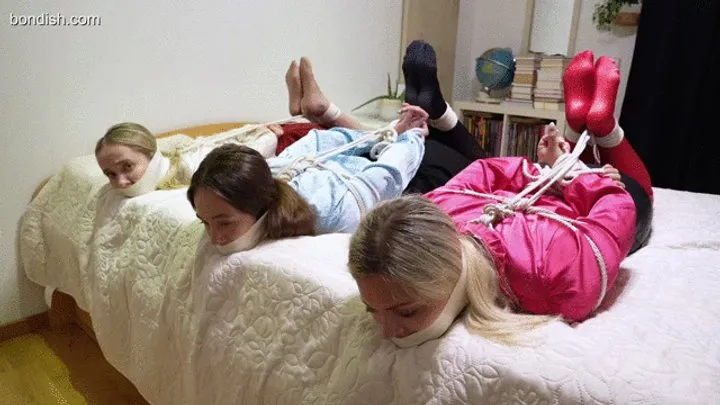 Bondish - THE HOGTIED TRIO