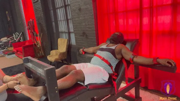 The Fetish House Of Macy Divine - Tickle Chair Chaos with My Tickle Toy