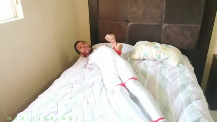 Mex-tick-oo - COSQUILLAS A ALEX MTY