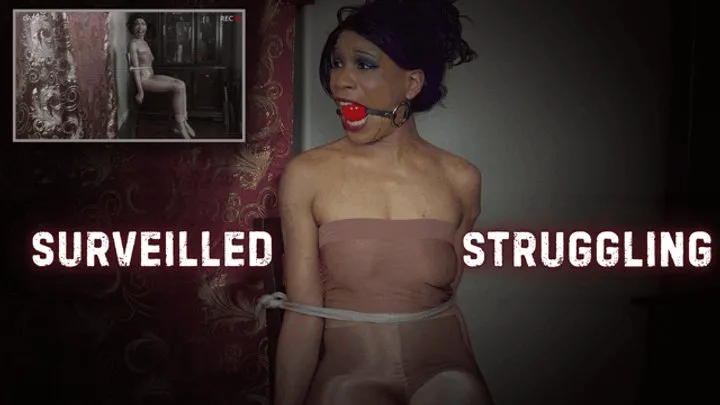 Cupcake Sinclair - Surveilled Struggling