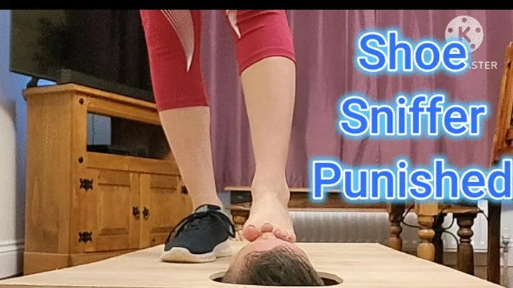 Lady Soles Foot Goddess - Shoe Sniffer Punished - Re-Release