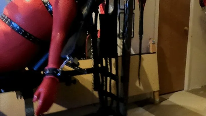 Rubbersubmission Clip Store - Red Rubber Shared Breathing