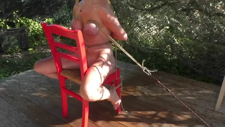 Breasts In Pain - Melodie - Another Cruel Tit Predicament Lesson - Part 2 wmv HD