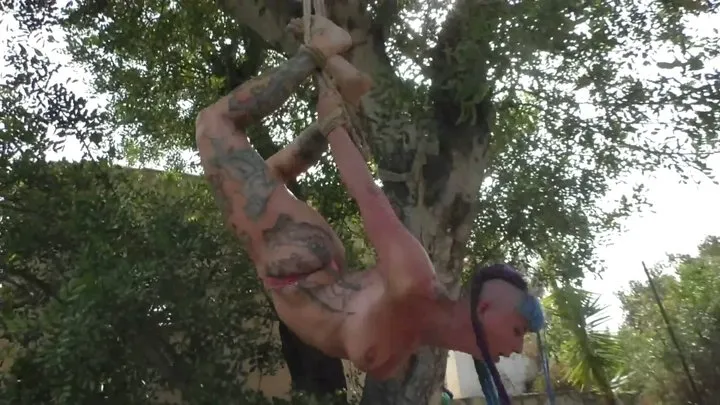 The Bondage Challenge - Ultra Suspension Extreme Bondage Challenge for Maya Homerton - Full Clip mp4 SD