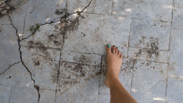Foot Fetish Paradise - Katherine Barefoot teasing session with sexy green toenails