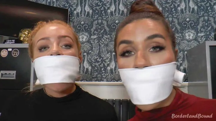 Borderland Bound - Scarlett & Jess in: Naughty NewsCasters' Gag-centric Sound Test: 