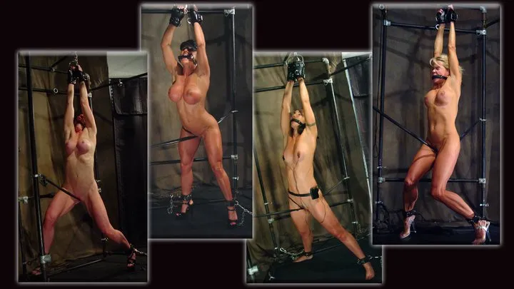 Fiterotic And The Orgasm Bar - FitBondage Volume 13