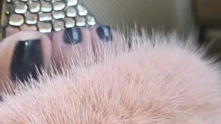 Foot Fetish Paradise - Arcos Viajeros 18 Fluffy Mule Heels and Black Pantyhose by Milah