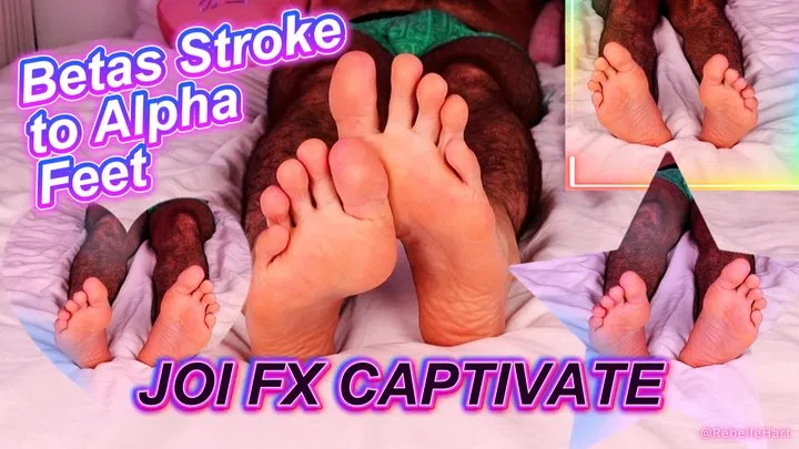 Rebelle Hart - Betas Stroke to Alpha Feet - JOI FX Captivate