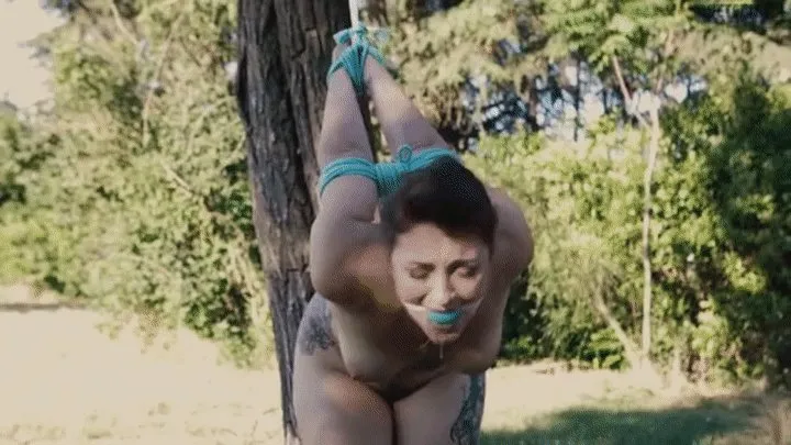 Pete Pystol Sexy Bondage And Feet - Royal tied to tree- massive drool & hands up mobile version