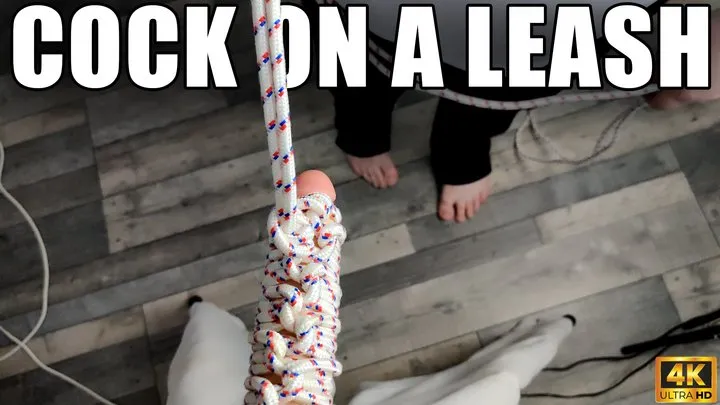 Kingdom Pictures - Cock On A Leash - 4k UHD 2160p - MOV - KingMarti