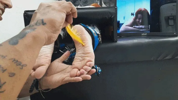 Tropical Foot Fetish Videos - Amanda in trying out the new tickling glove