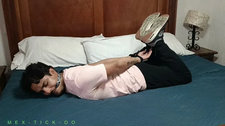Mex-tick-oo - JACKSON EN HOGTIED