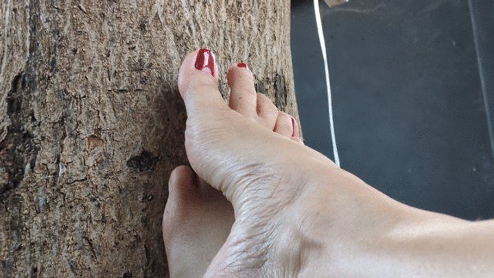 Foot Fetish Paradise - Katherine Barefoot Porn with sexy red nail polish