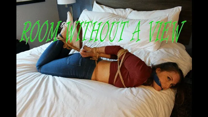 Bondage Stories - Room Without a View