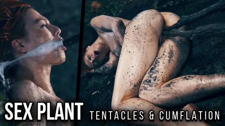 Plants Vs Cunts - A BEAUTIFUL SCENT