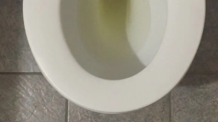 Stage - I PISS GOLD IN MY TOILET