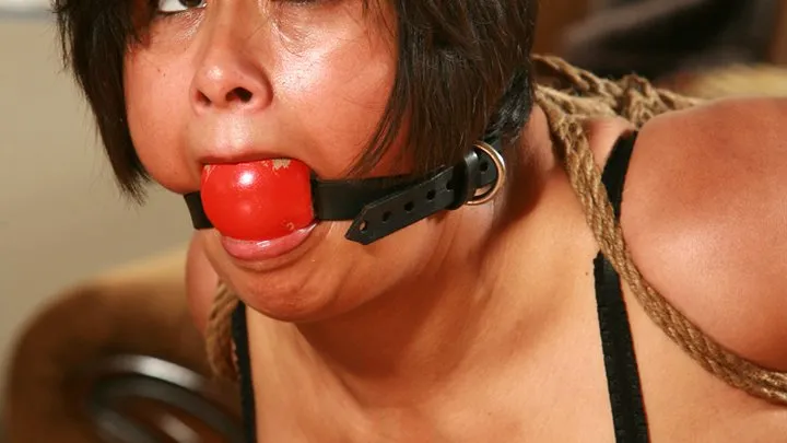 Dominic Wolfe's Gagged Beauties - Samantha Milan is a pantyhose clad, Ass Cracked, Humiliated Table Top Housewife! All Binding & Gagging Done On Camera! *RE ENCODE 2025* NEW PREVIEW