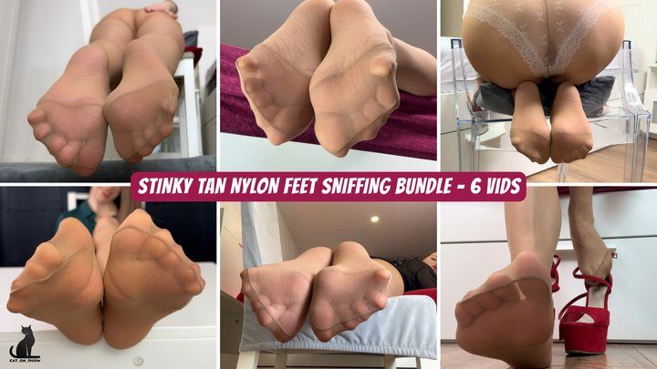 Cat On Show - Stinky Tan Nylon Feet Sniffing - DELUXE BUNDLE - 6 Videos