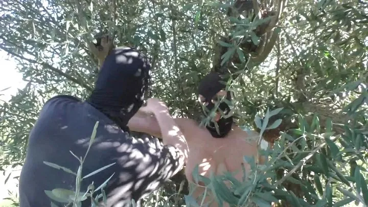 Tied In Public - Slave Susi tied into an Olive Tree in the public Woods- Part 1 wmv SD